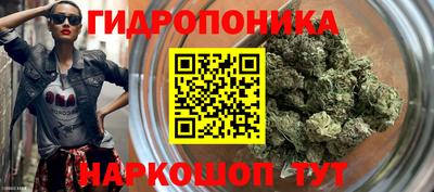 прущие грибы Донецк