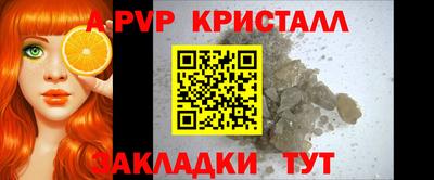 прущие крисы Донской