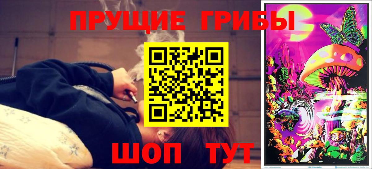 купить наркотик  Вход с VPN  Заинск  Галлюциногенные грибы Magic Shrooms 